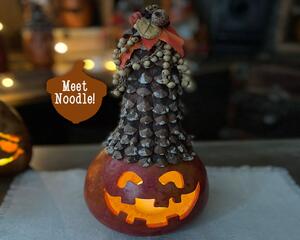 A dried gourd pumpkin collectable, named Noodle. His face is hand carved and the top is decorated with pine cone shells and natural berries.